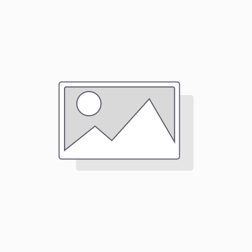 SMG SW/RW/CO FARO DELANTERO